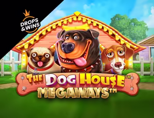 Изображение Онлайн игра The Dog House Megaways