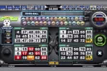 Изображение Игра Bingo